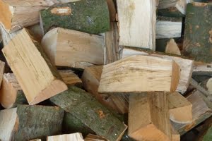 Part-seasoned hardwood logs