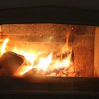 Firewood Bundles